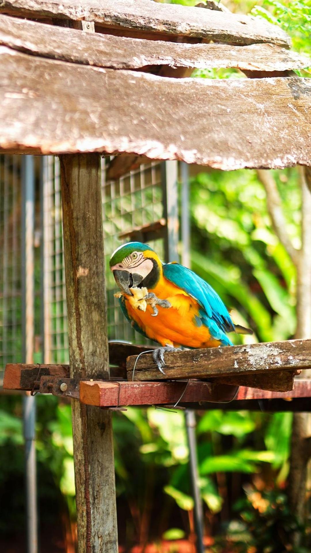 Colina De Montalva Hotel Tarapoto Buitenkant foto